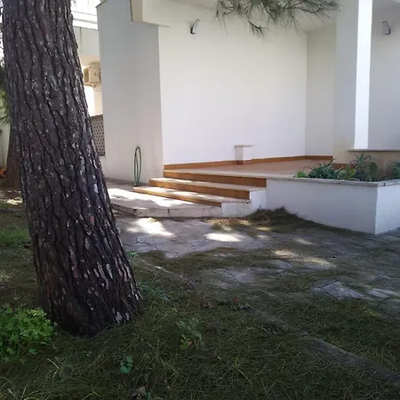 Afrodite פורטו צ'זראו